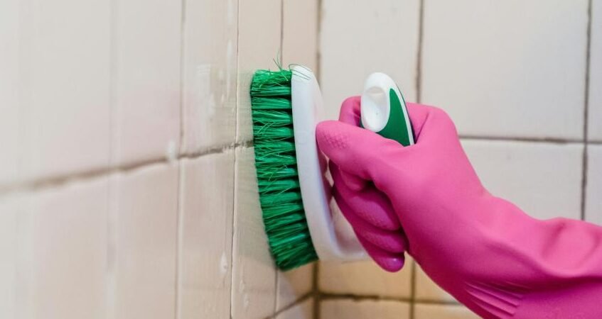 MouldMojo Mold & Mildew Cleaning Gel Review: Does It Really Kill Stubborn Black Mold?