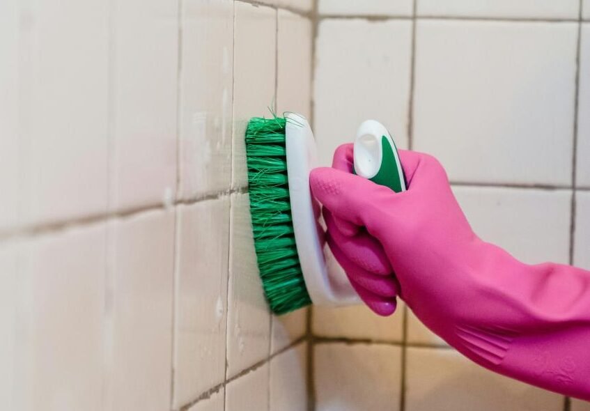 MouldMojo Mold & Mildew Cleaning Gel Review: Does It Really Kill Stubborn Black Mold?