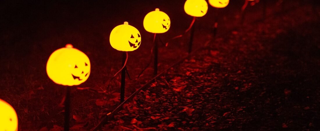 DenicMic Solar Pathway Lights Review: Worth It for No-Wiring Yard Lighting?