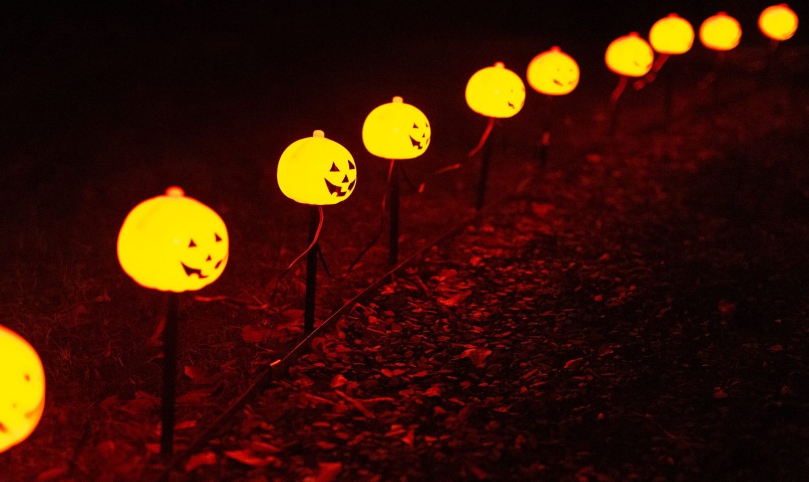 DenicMic Solar Pathway Lights Review: Worth It for No-Wiring Yard Lighting?