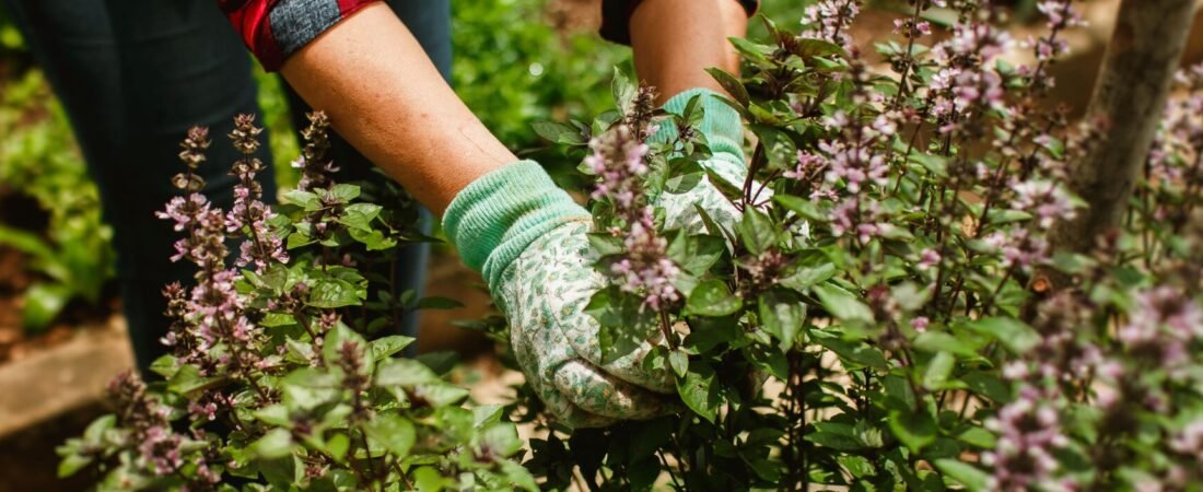 Vgo Gardening Gloves Review: Are They Really Thornproof?
