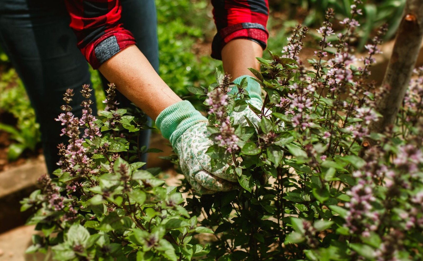 Vgo Gardening Gloves Review: Are They Really Thornproof?