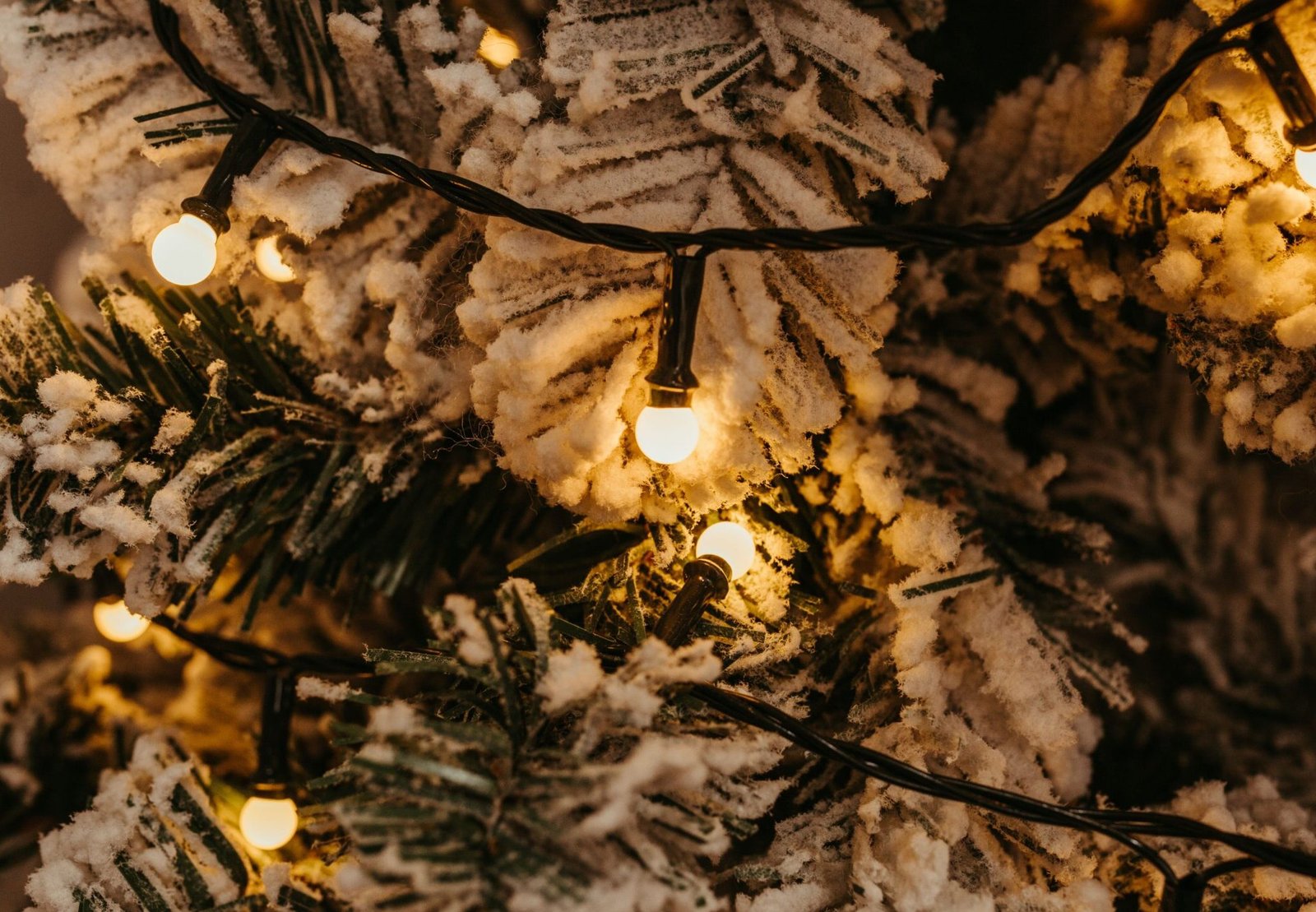 Solar Christmas Tree Decorations Review: A Truly Wireless Way to Light Up the Holidays