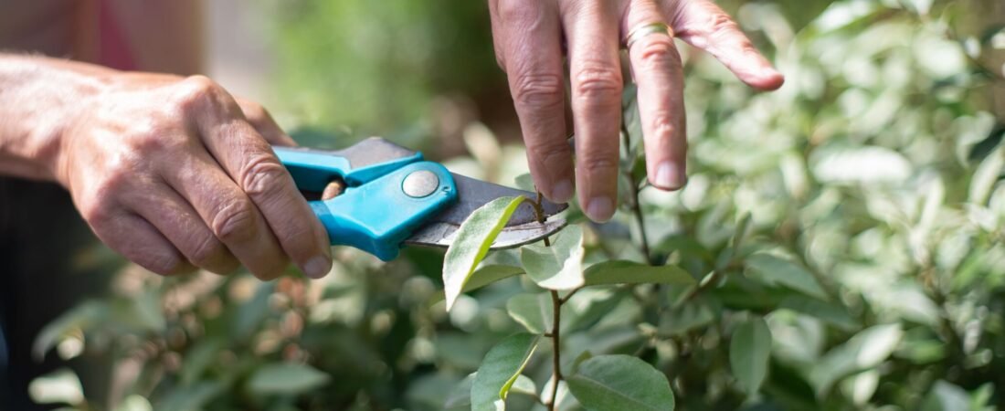VOTREK Pruning Shears Review: Do the “Jam-Proof” Claims Hold Up?