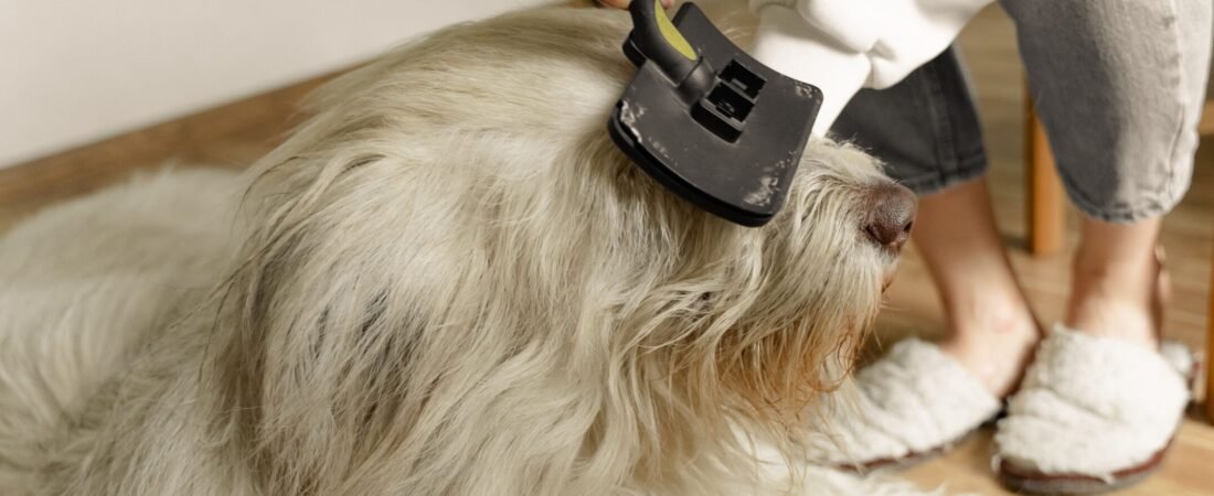 Salhap Electrostatic Pet Hair Removal Glove Review: Does It Actually Beat a Lint Roller?