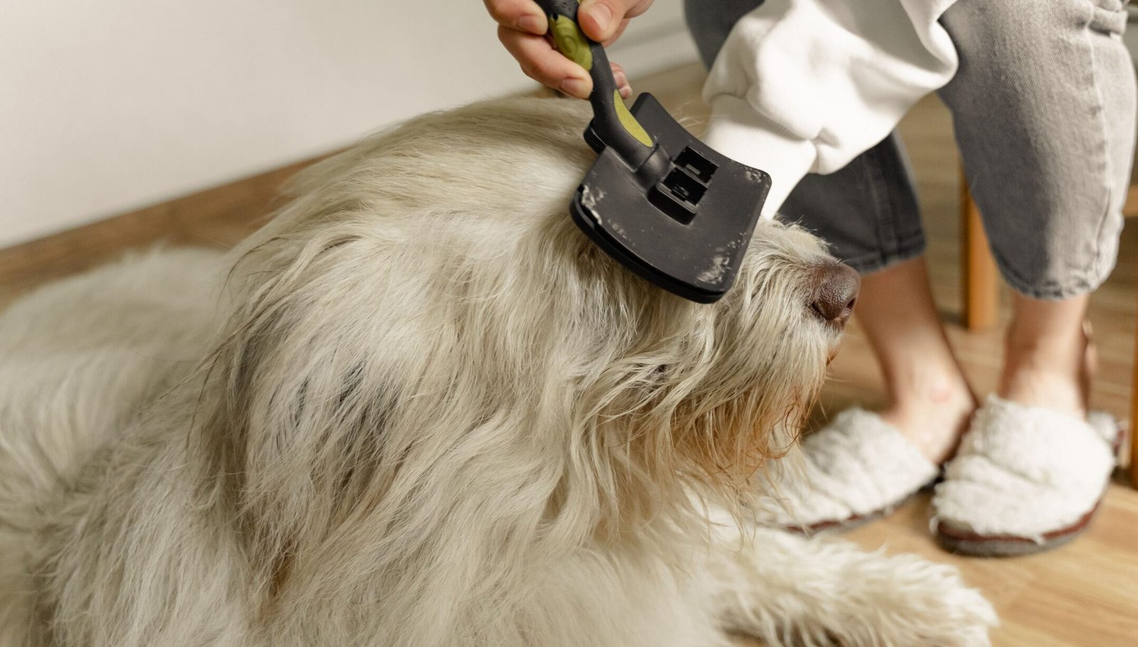 Salhap Electrostatic Pet Hair Removal Glove Review: Does It Actually Beat a Lint Roller?